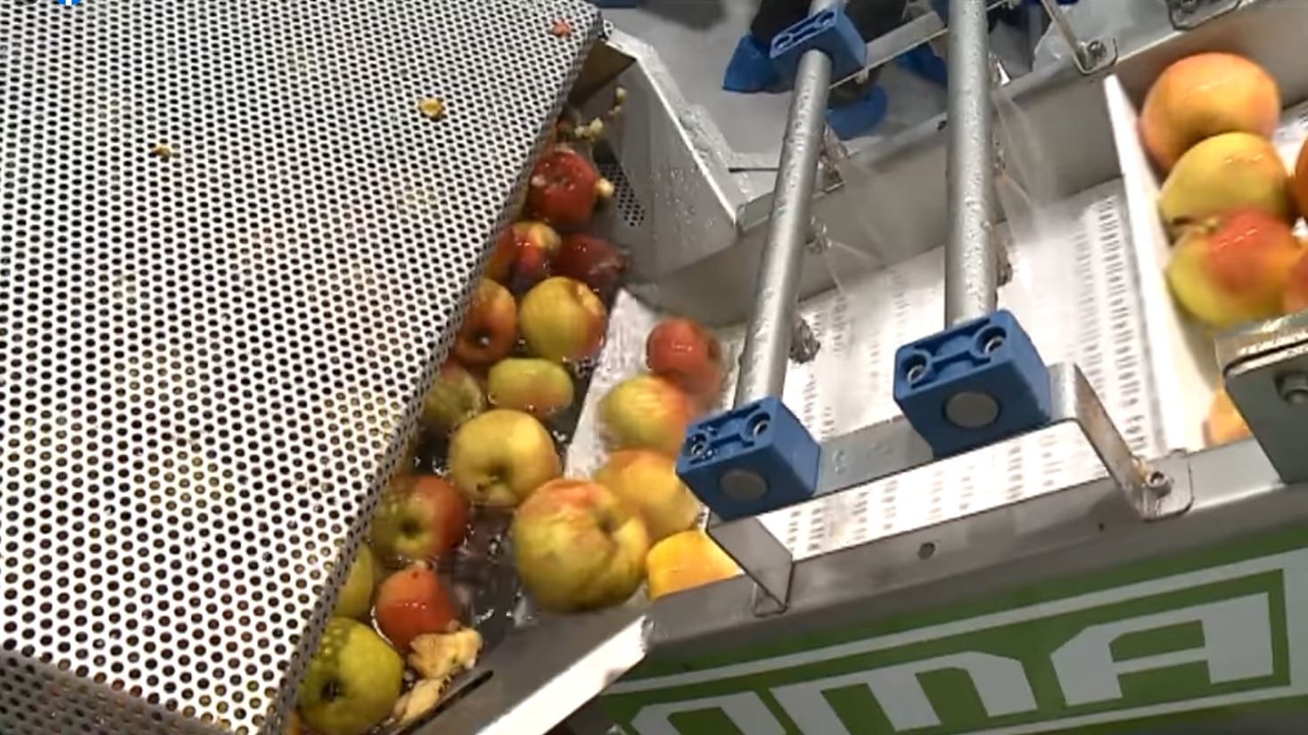 Mára elkészült a Halasmédia kisfilmje